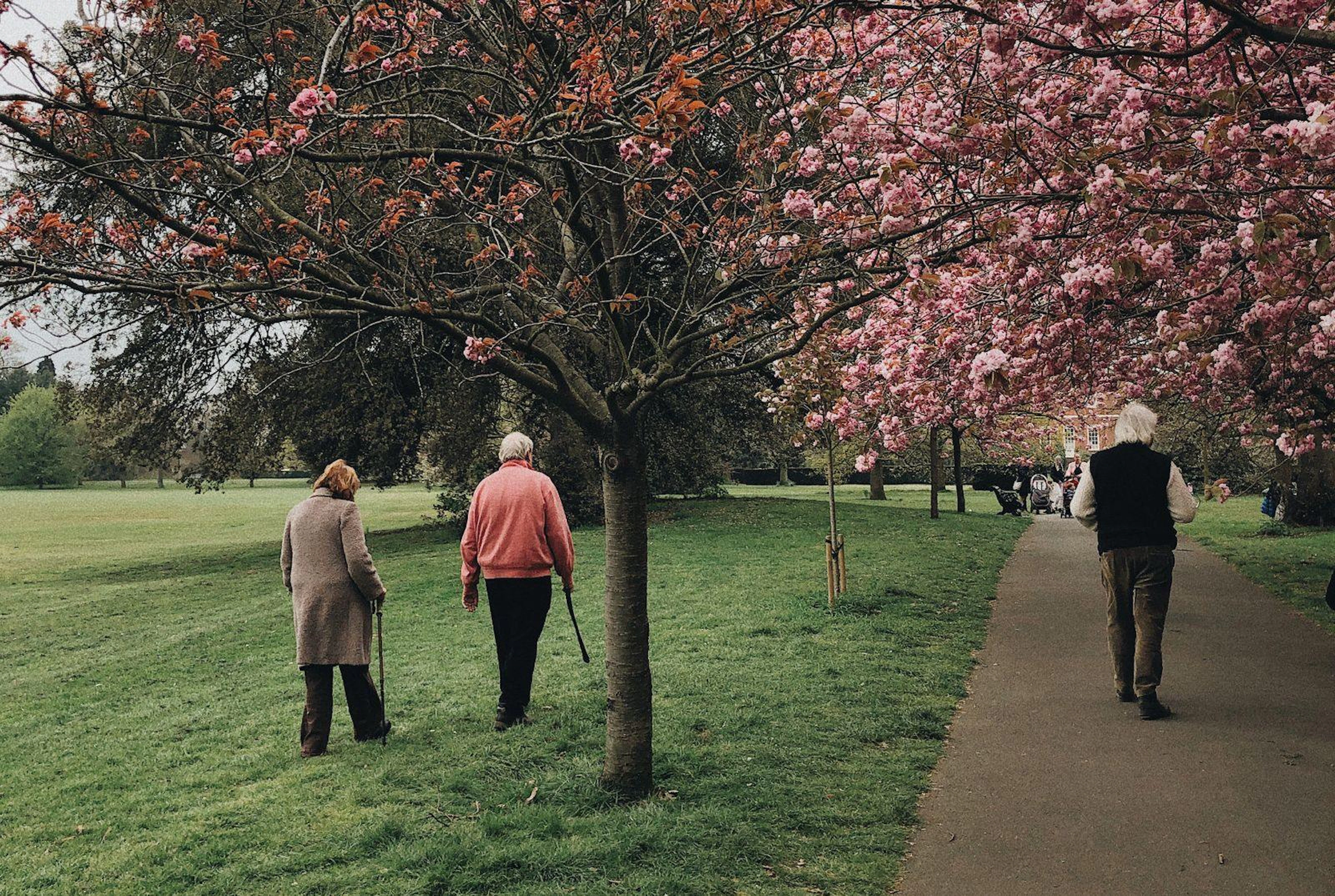 A group of individuals walking along a path in a vibrant park filled with trees and colorful flowers.