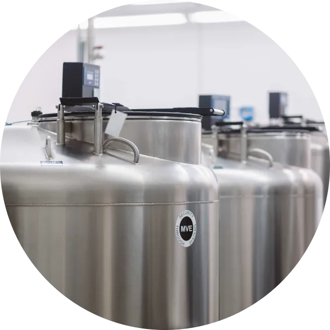 A row of cryogenic storage tanks with digital monitors, used for preserving biological samples in a laboratory.