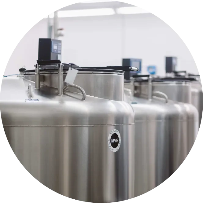 A row of cryogenic storage tanks with digital monitors, used for preserving biological samples in a laboratory.