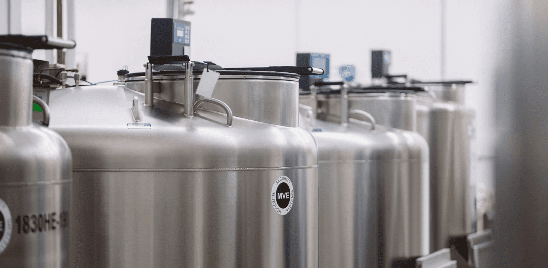 A row of cryogenic storage tanks with digital monitors, used for preserving biological samples in a laboratory.