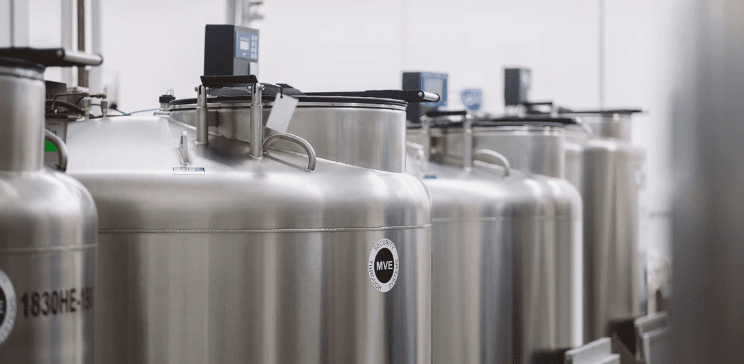 A row of cryogenic storage tanks with digital monitors, used for preserving biological samples in a laboratory.