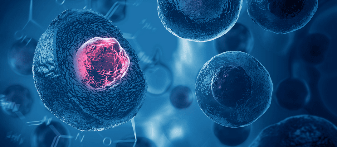 Detailed illustration of stem cell structure, showcasing cellular components and their potential for research applications.