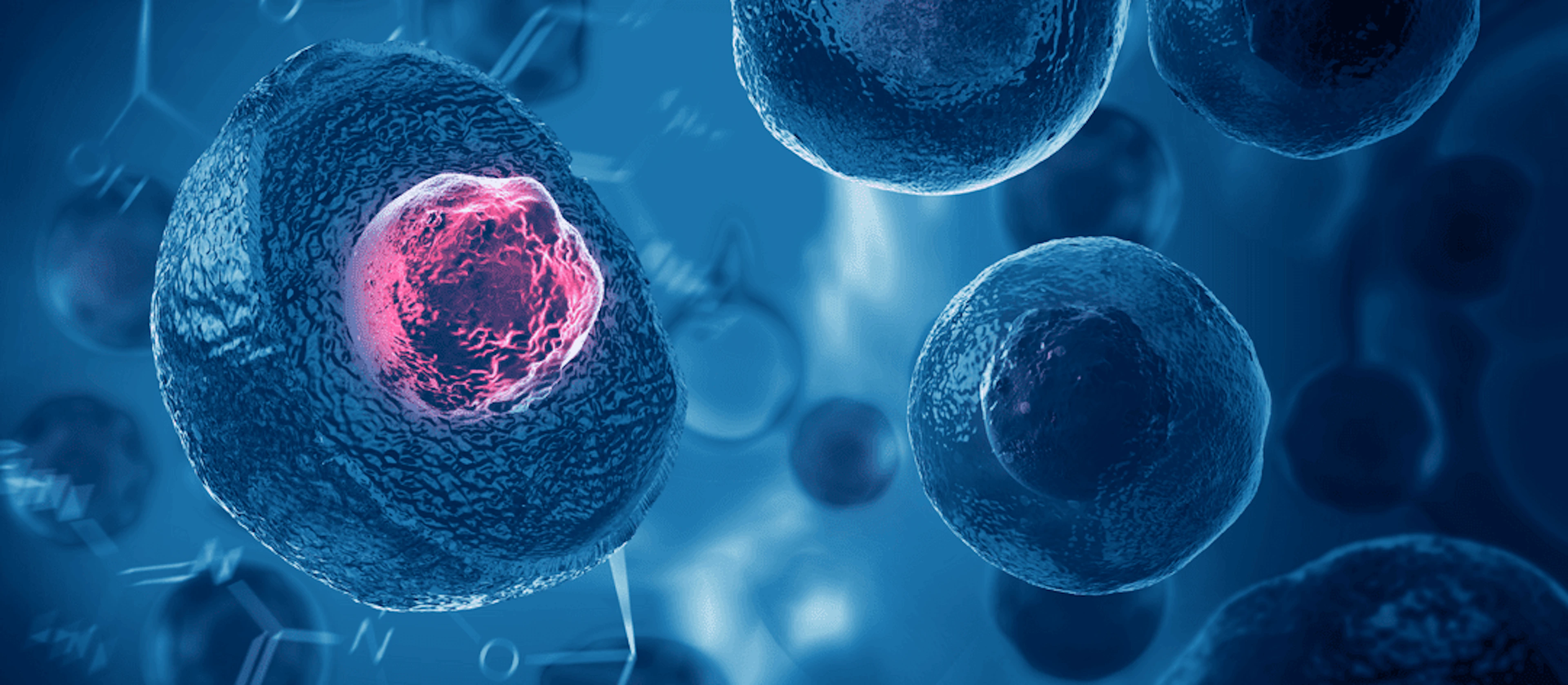 Detailed illustration of stem cell structure, showcasing cellular components and their potential for research applications.