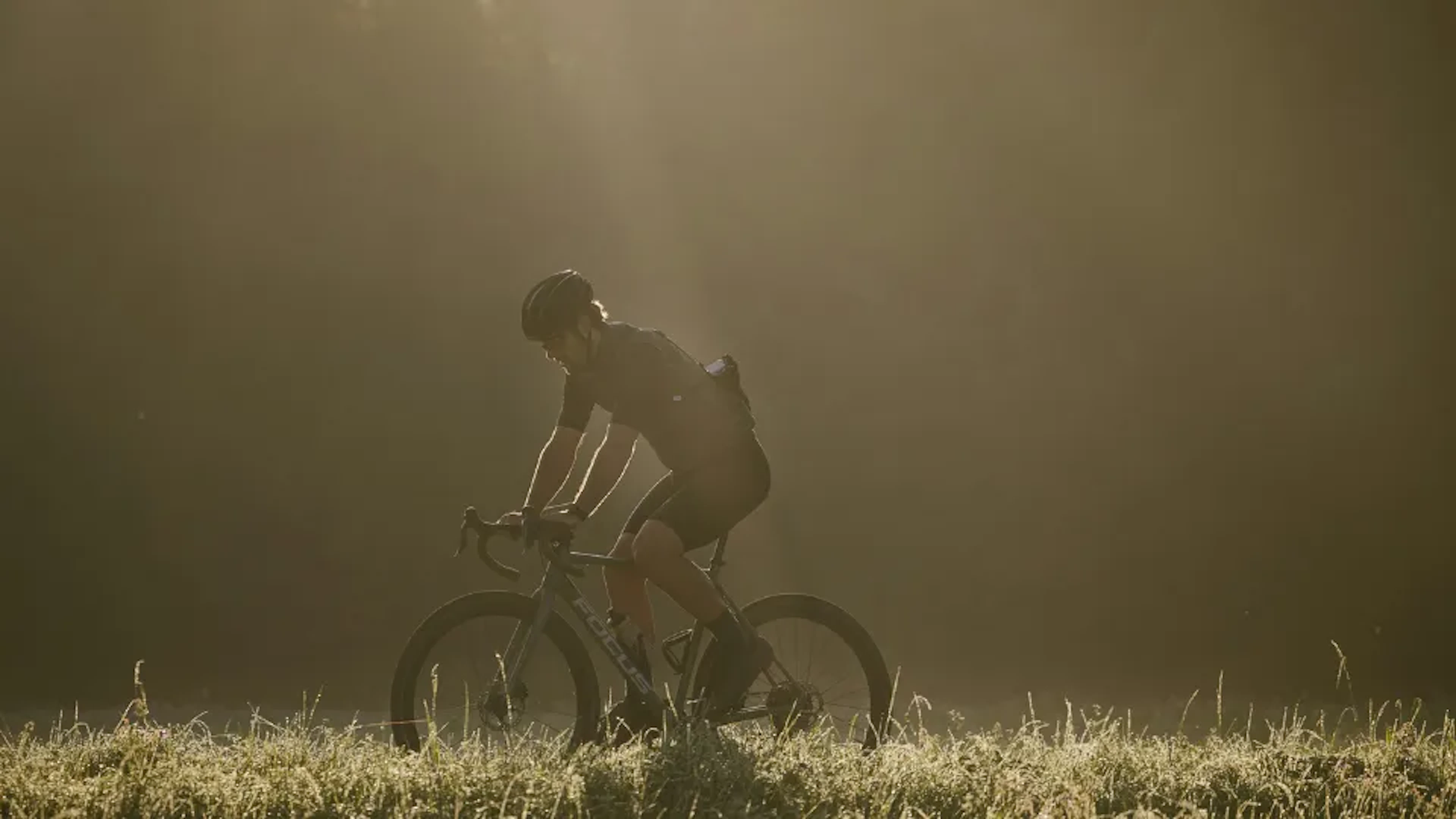 A cyclist riding a gravel bike through a sunlit field with tall grass, surrounded by a misty atmosphere.