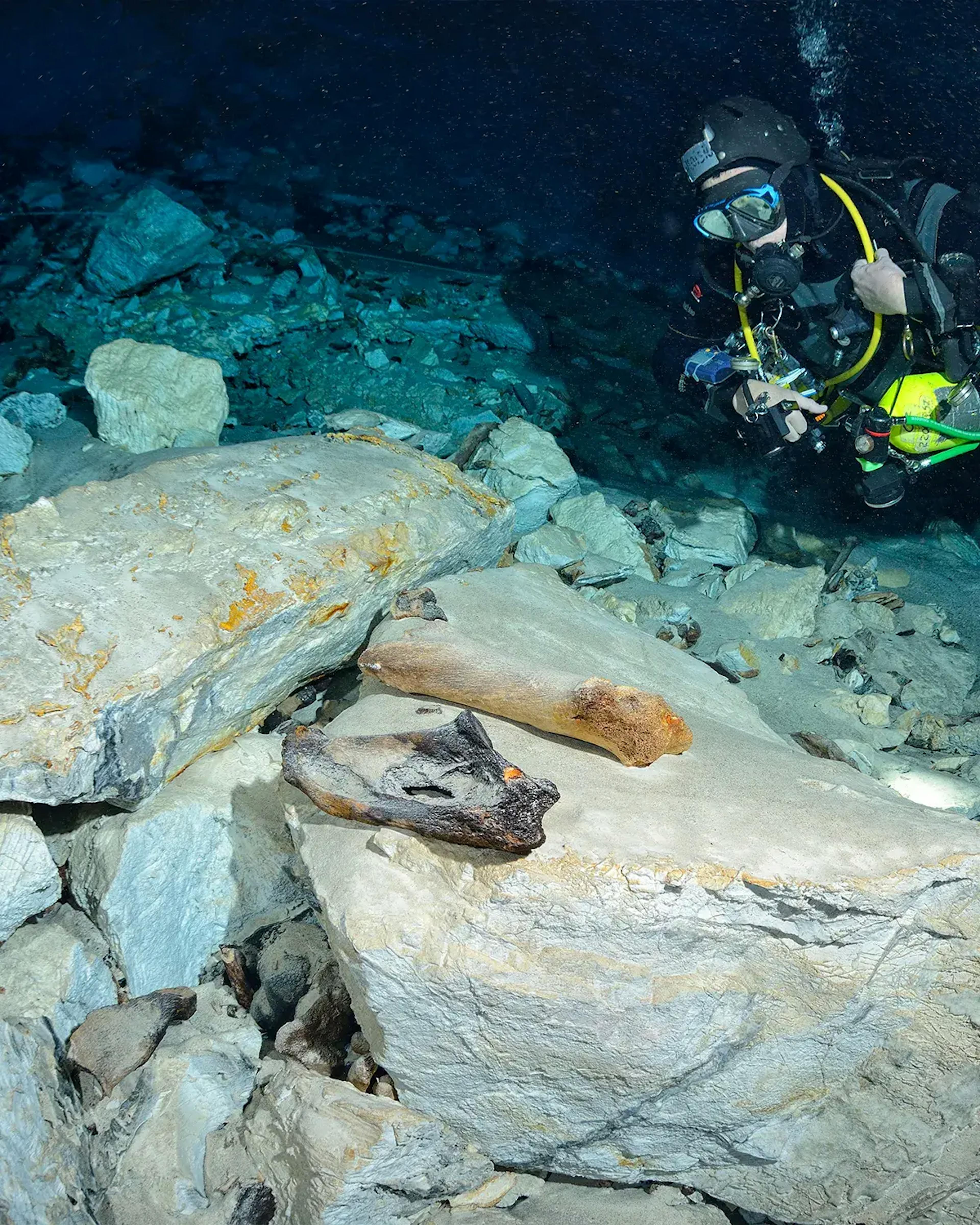 Mergulhador profissional submerso na água cristalina da Gruta do Lago Azul, olhando e analisando fósseis depositados naturalmente nas rochas do local
