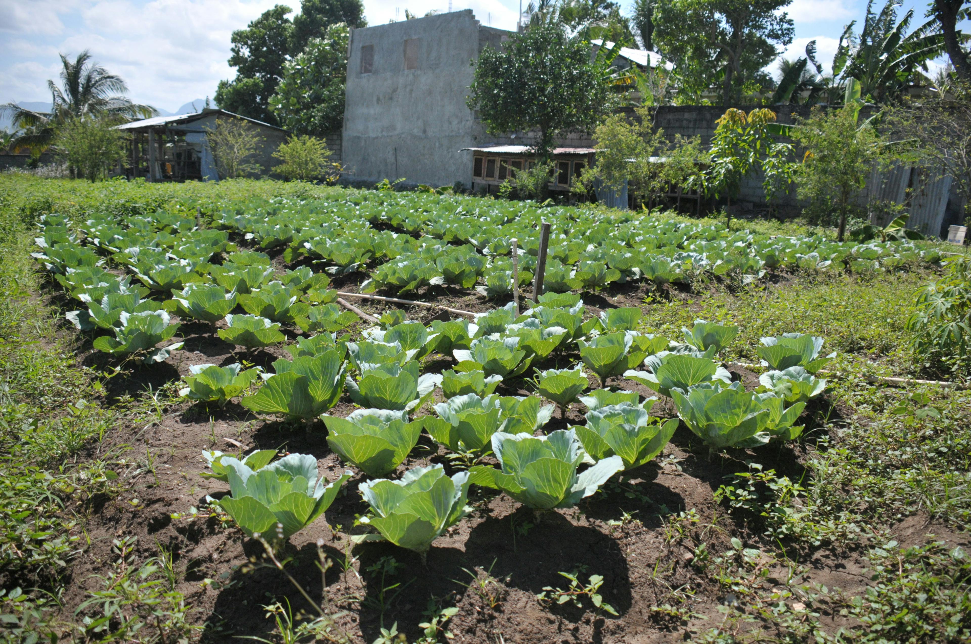 Fields outside the INDMM