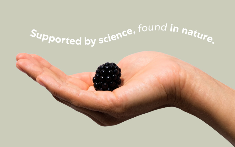 Biologi By Blackberry Seed Oil