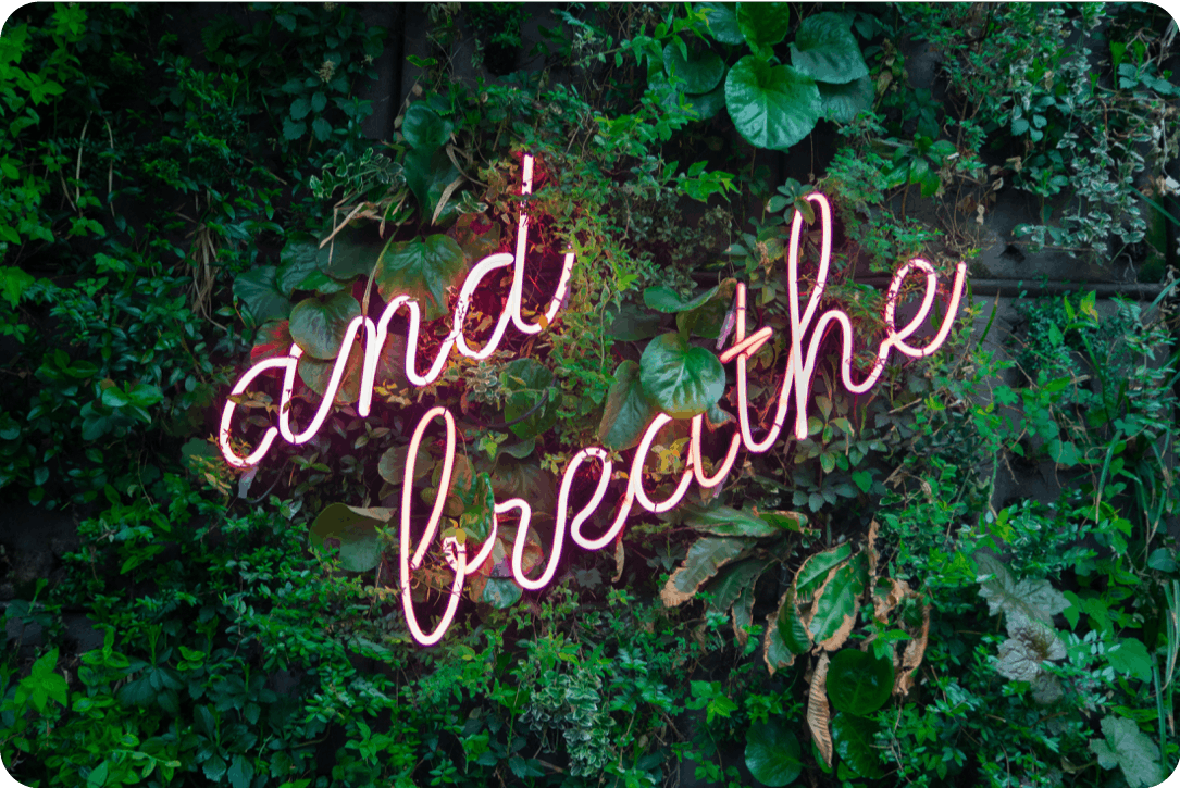 Green wall - breath