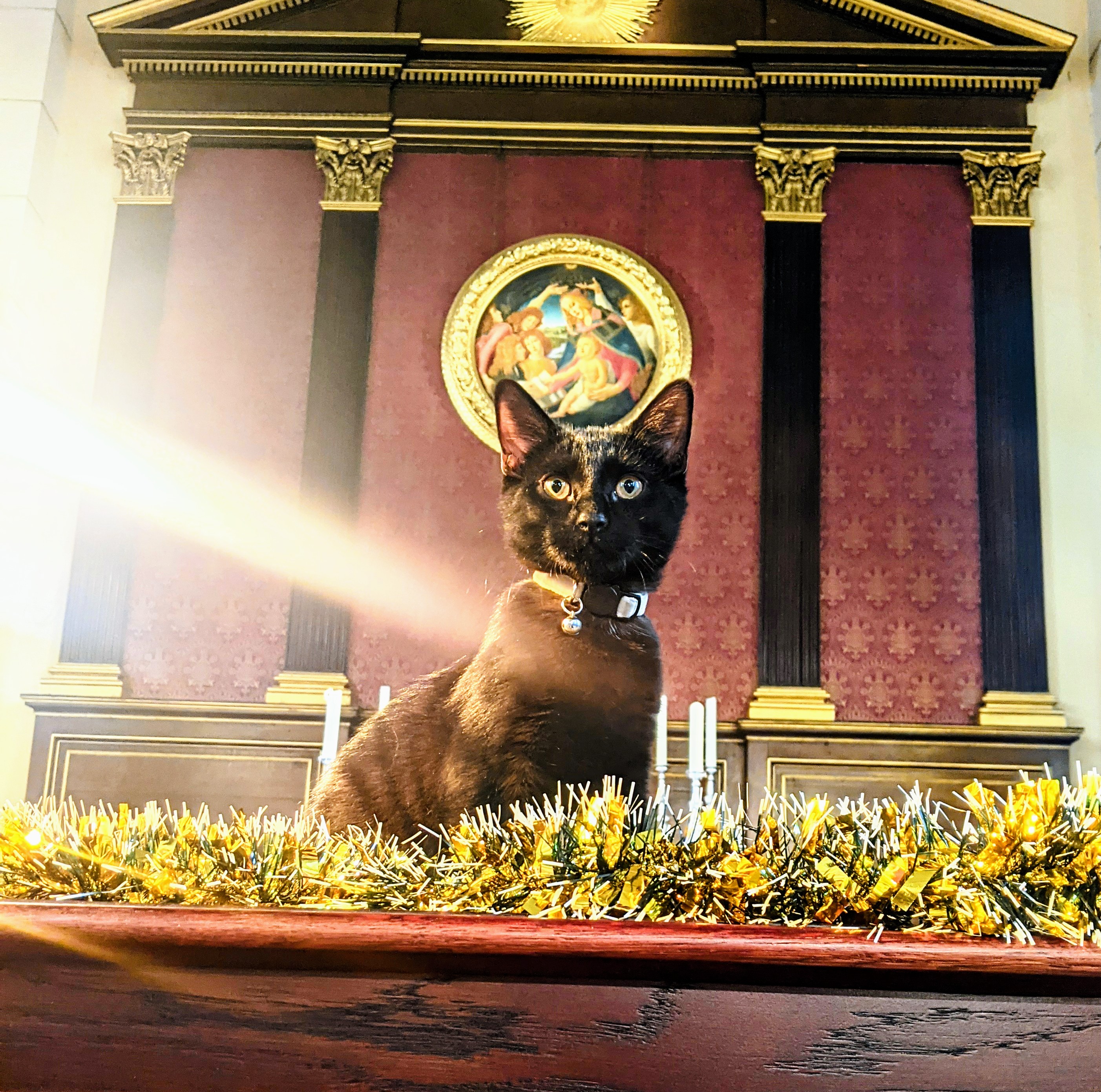 Eliza sat on the sanctuary furniture with a shaft of sunlight shining on her.