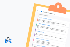 Skip-Level Meeting Agenda Template