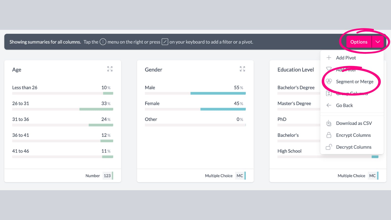 segment columns