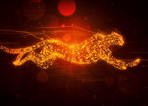 Number 1 Internet Sevice Provider - Orange Uganda, MAAD McCann