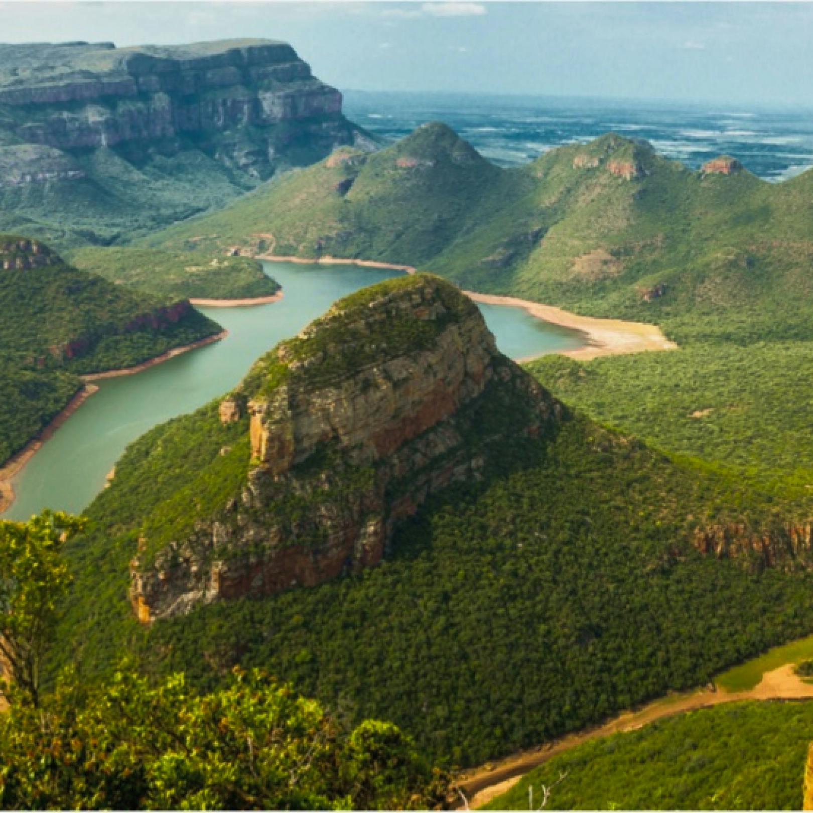 Forested mountains