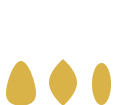 Small seeds
