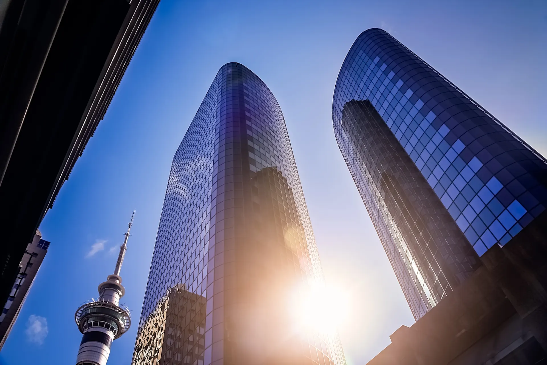 Digital Marketing in Auckland
