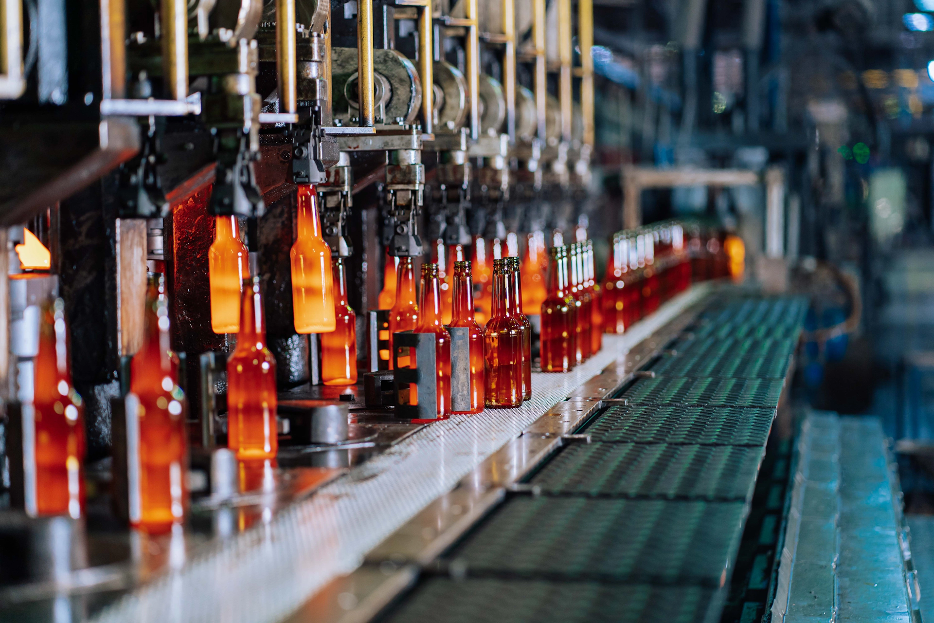 Manufacturing & Wholesale Marketing