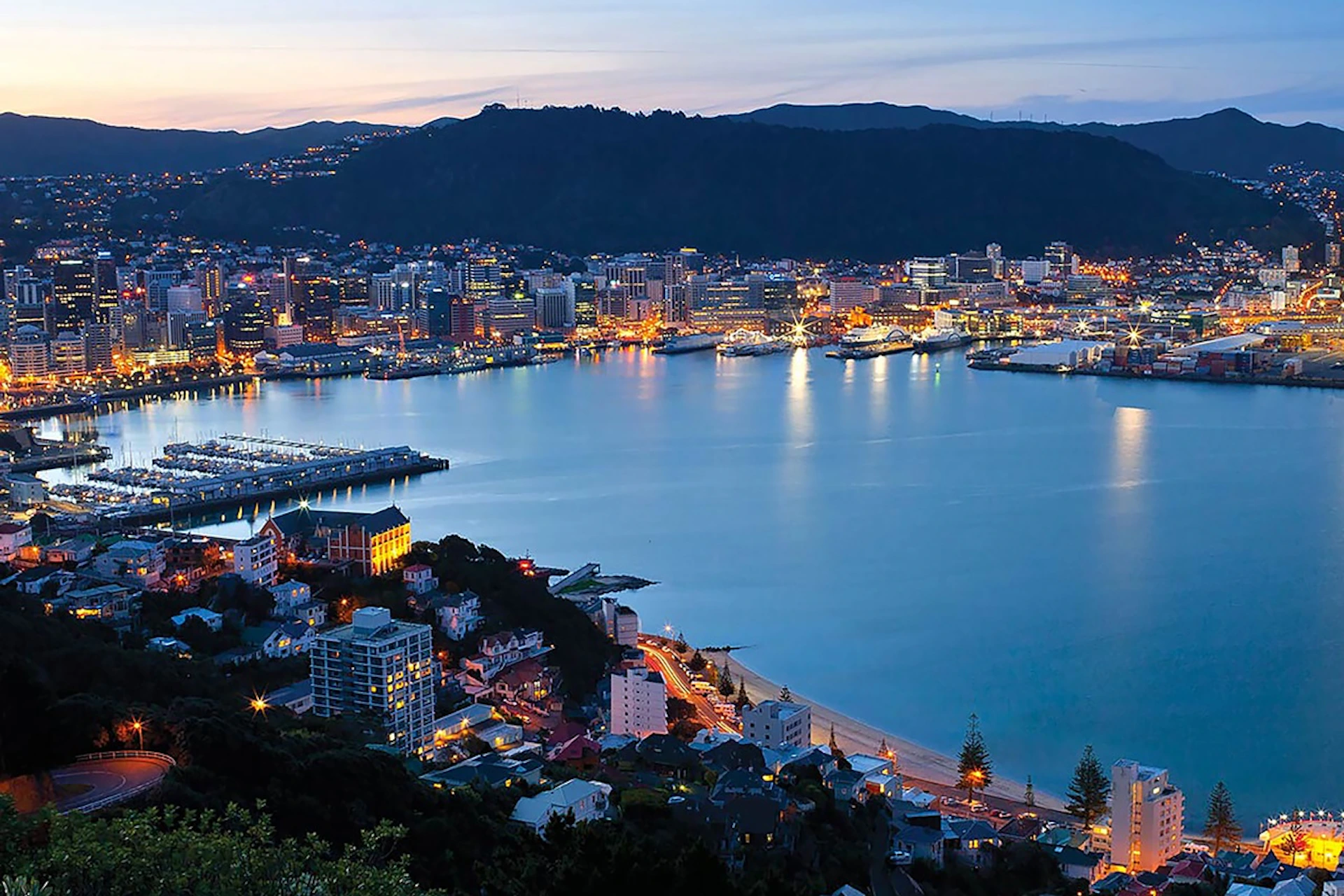 Wellington digital marketing