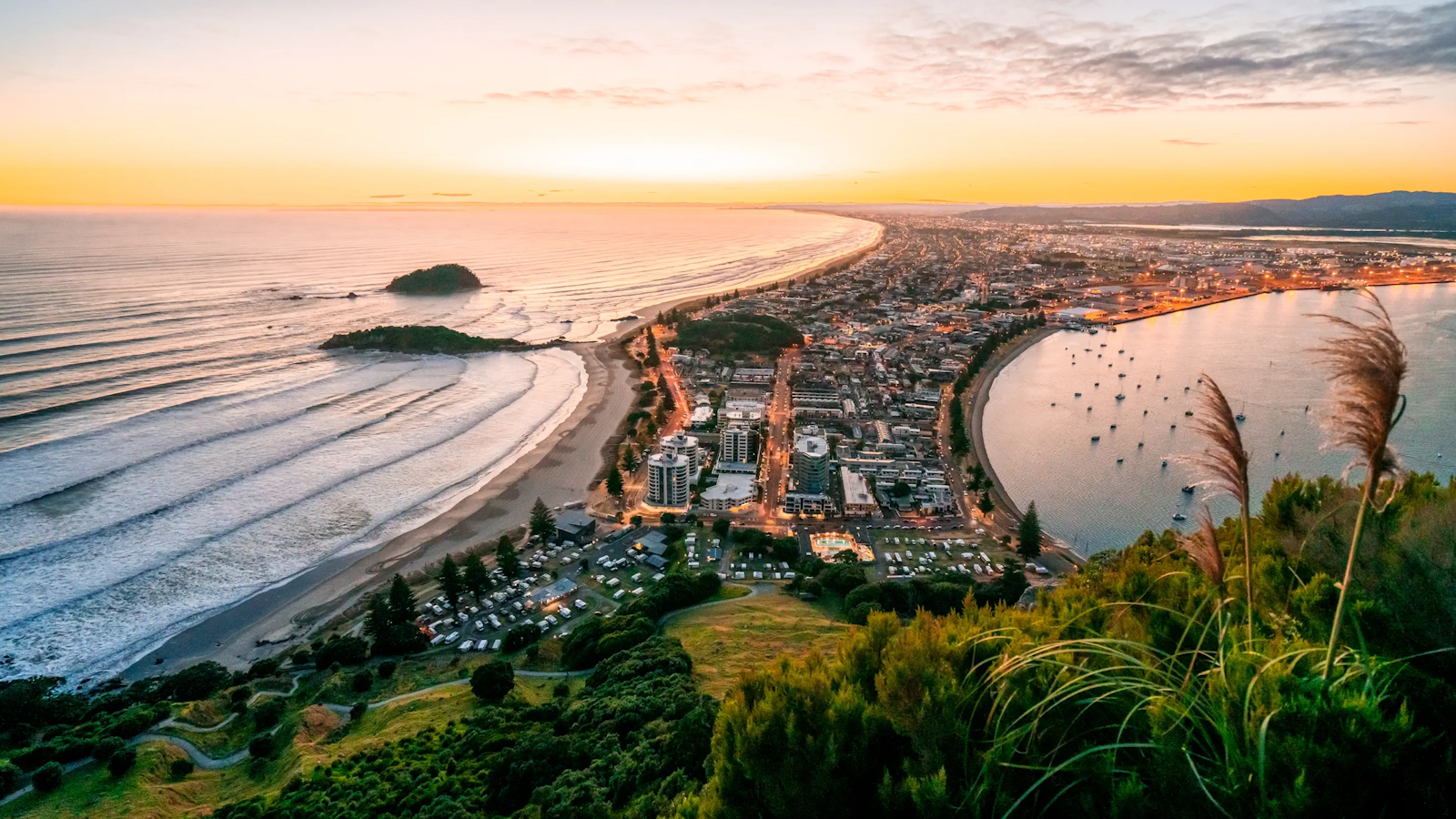 Digital Marketing in Tauranga