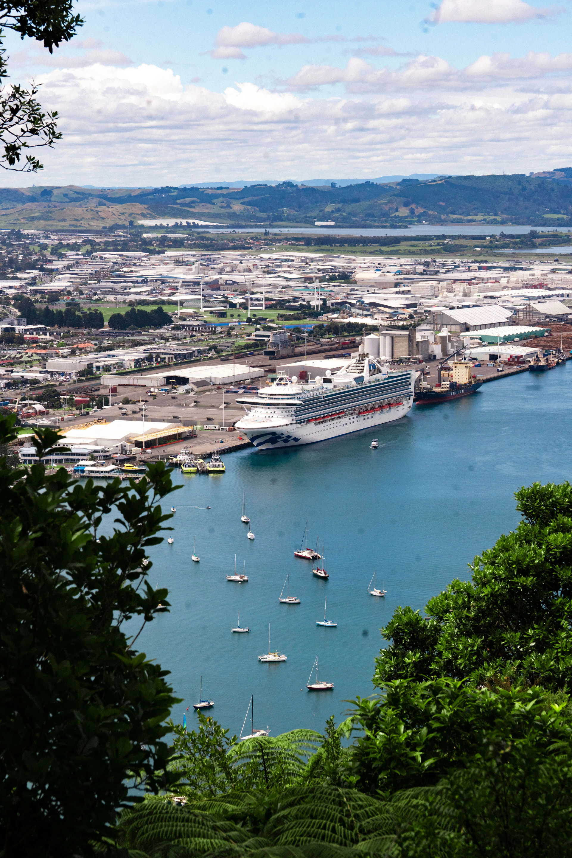 Tauranga businesses