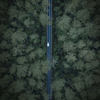 Aerial view of a truck driving along a forest road, symbolizing efficient logistics, streamlined transportation, and sustainable supply chain solutions.