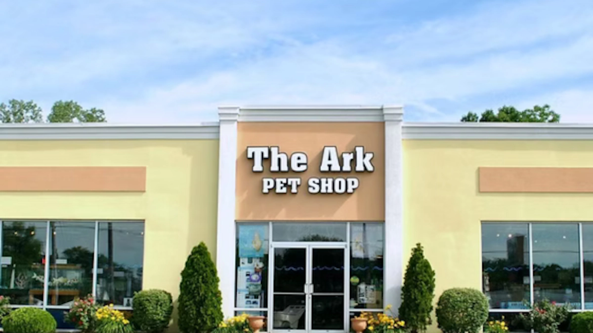 The Ark Pet Centres Collapse
