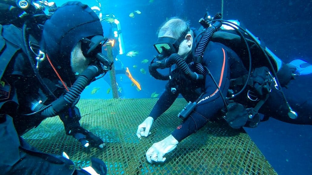 Hires instructing on the CCR.