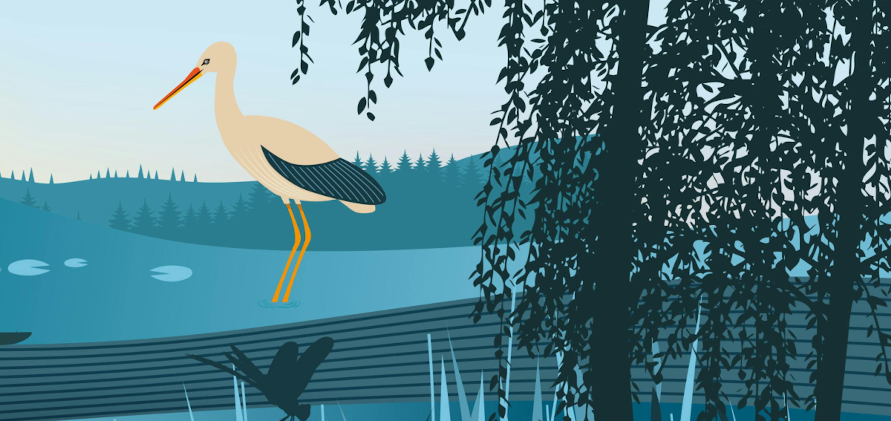Illustration of a Heron wading in water