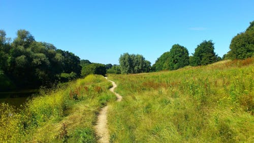 A lush green field with a winding path running through