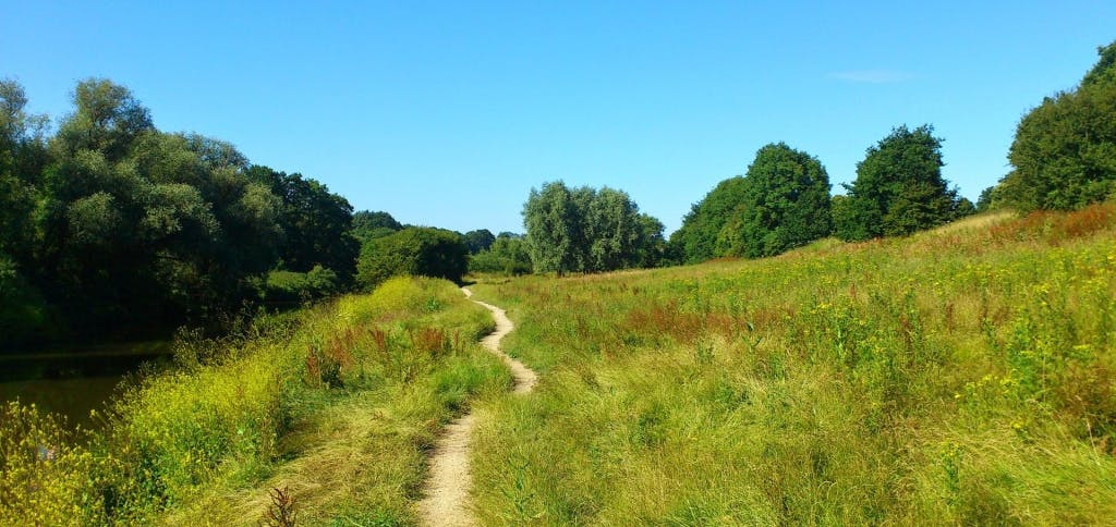 A lush green field with a winding path running through