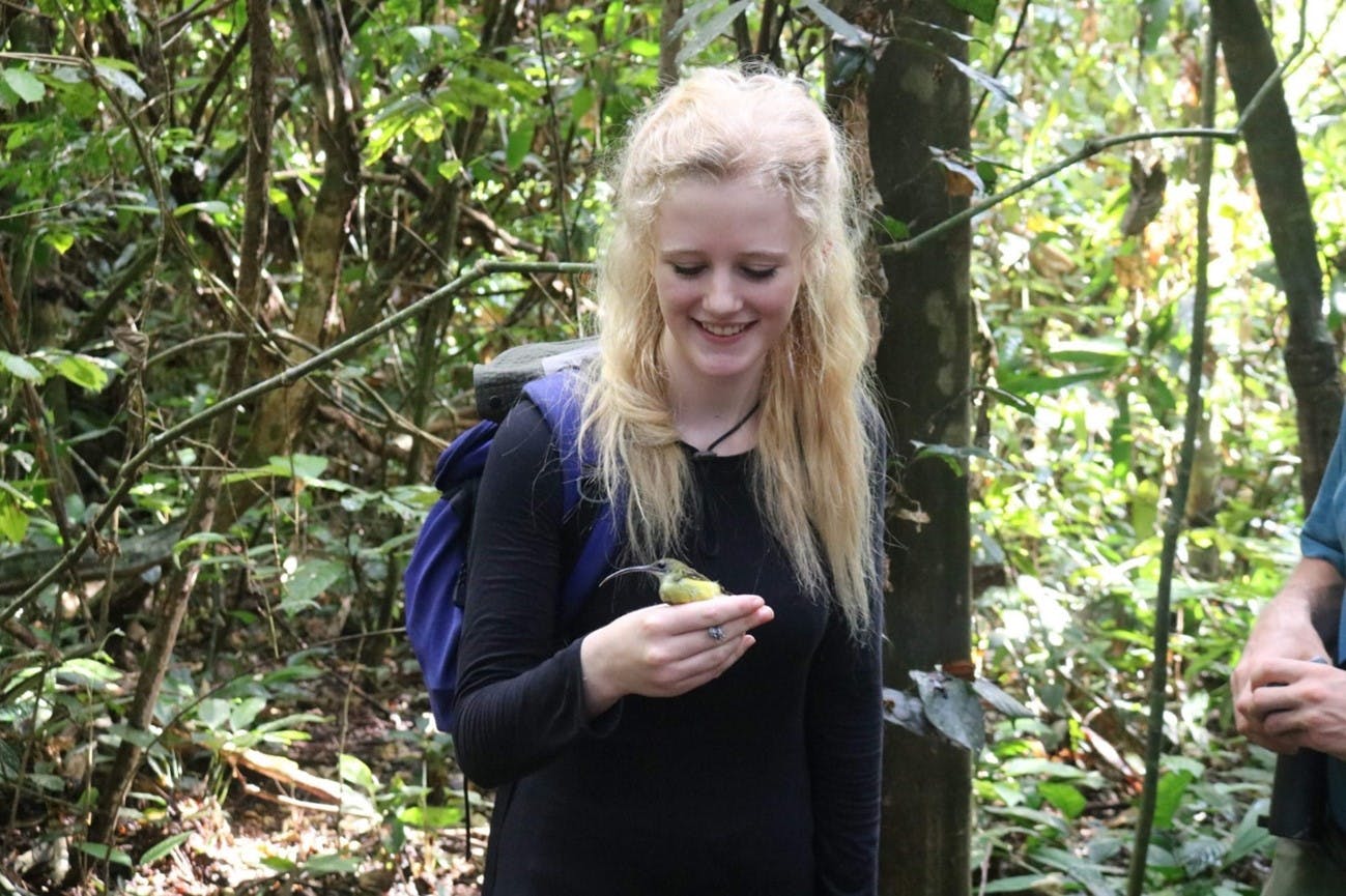 A photo of Lucy, standing in the forest holding a spiderhunter bird. She smiles at the bird, which is small in size with a bright yellow belly and very long down-curved beak.