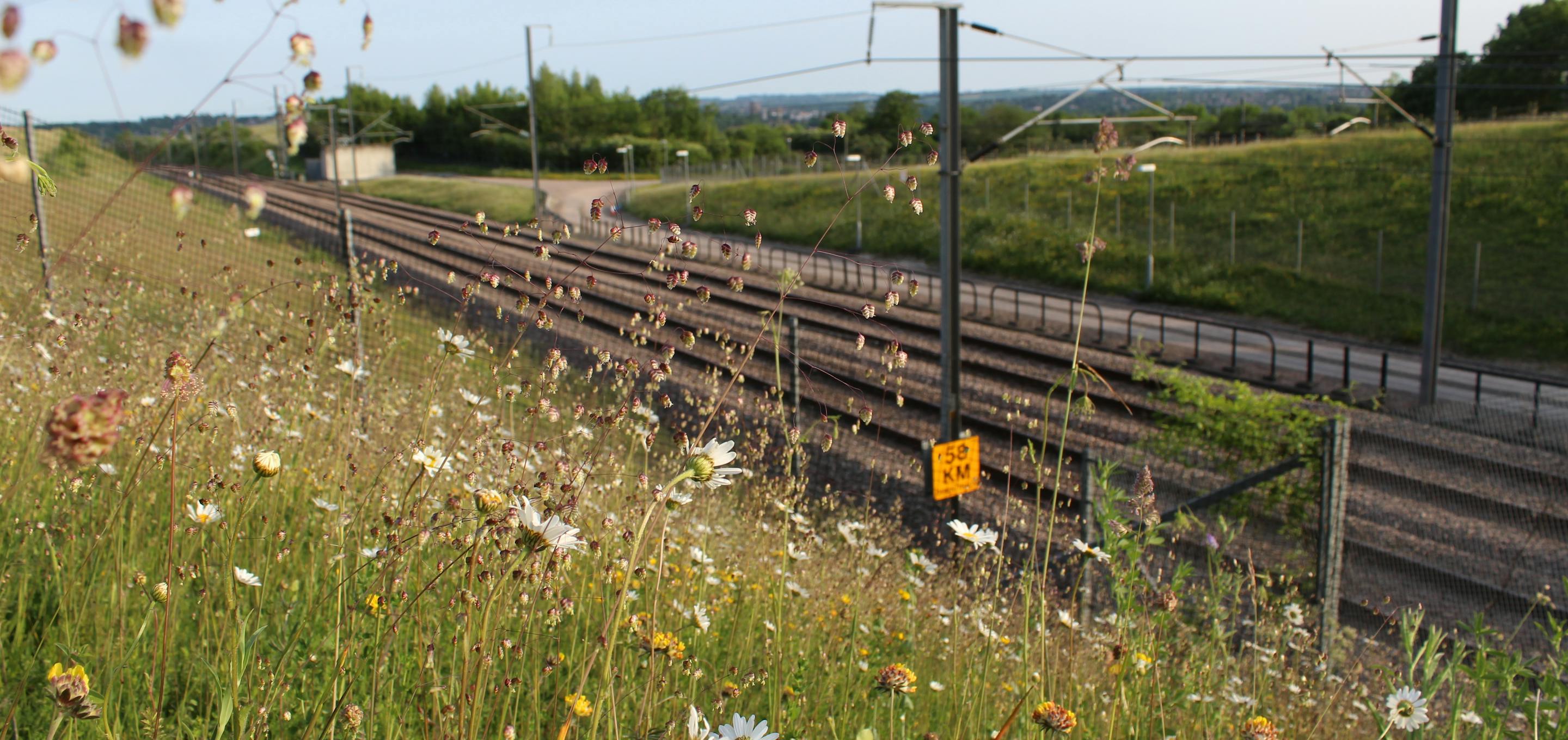 HS1 railway line next to grass verge