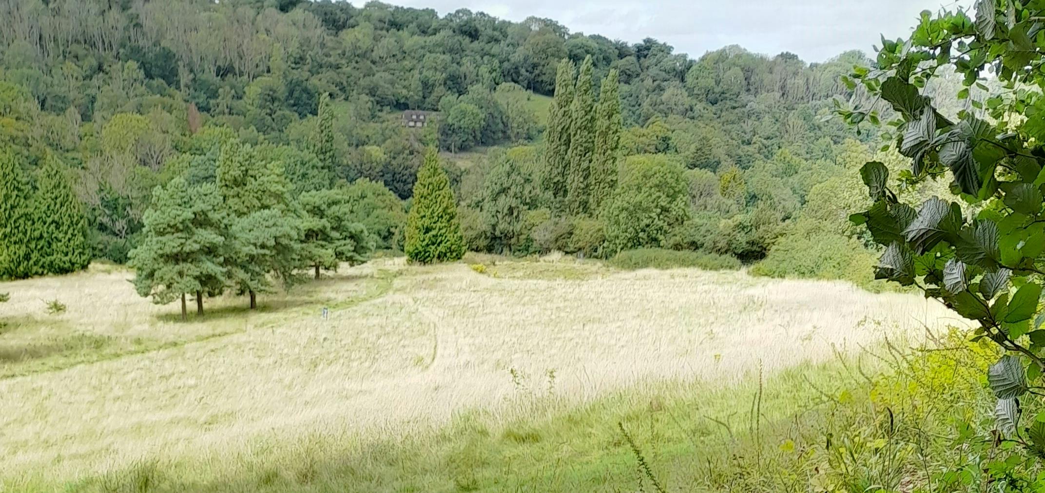 Heather Corrie Vale grassland