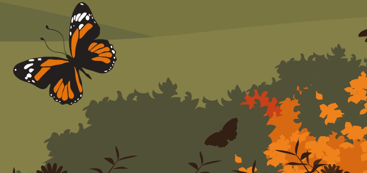 Illustration of an orange and black butterfly