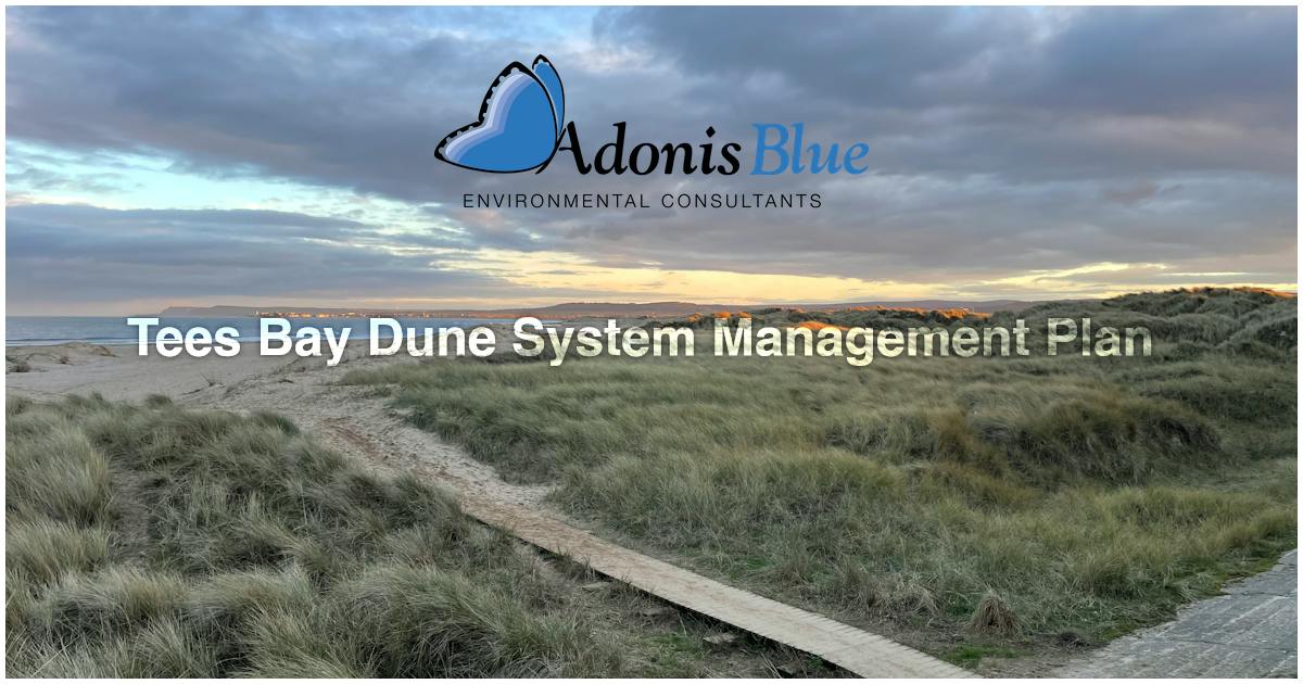Sssi Example Tees Bay Dune System Management Plan