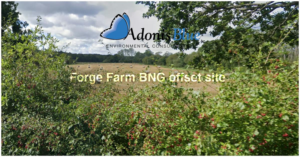 Forge Farm Binstead Forge Farm BNG offset site