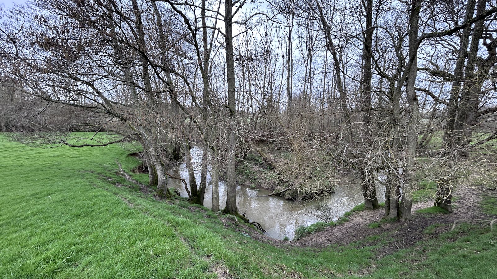 Furnace Farm grassland bordering the river bank and line of trees