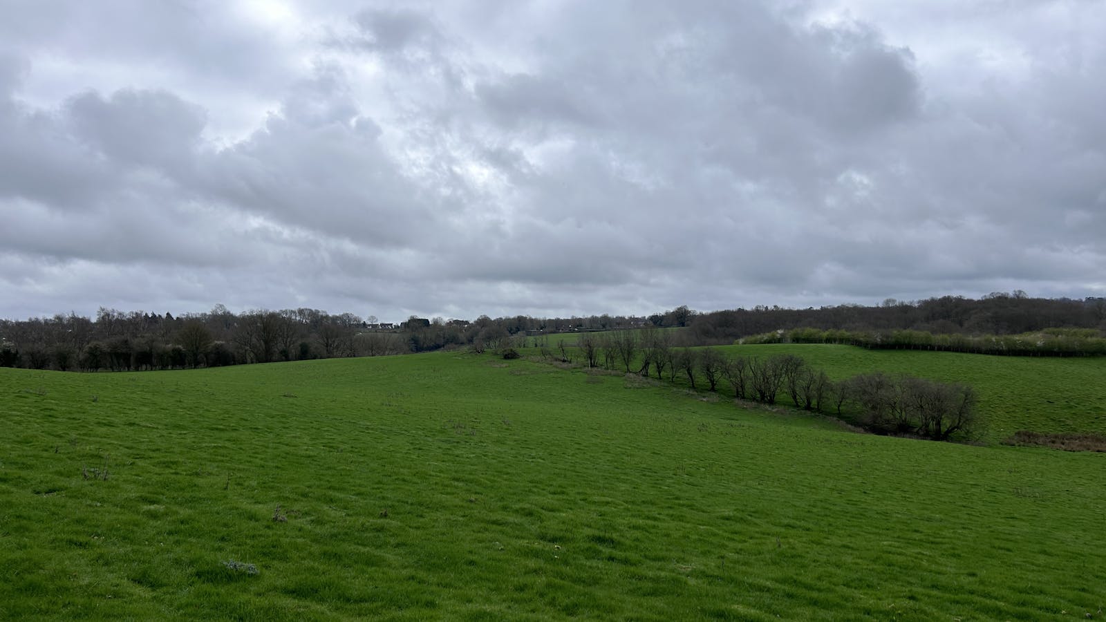Furnace Farm grassland