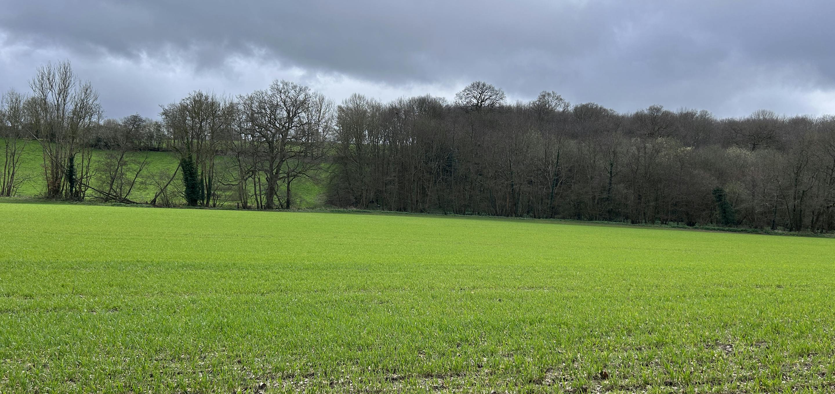 Furnace Farm field with trees behind
