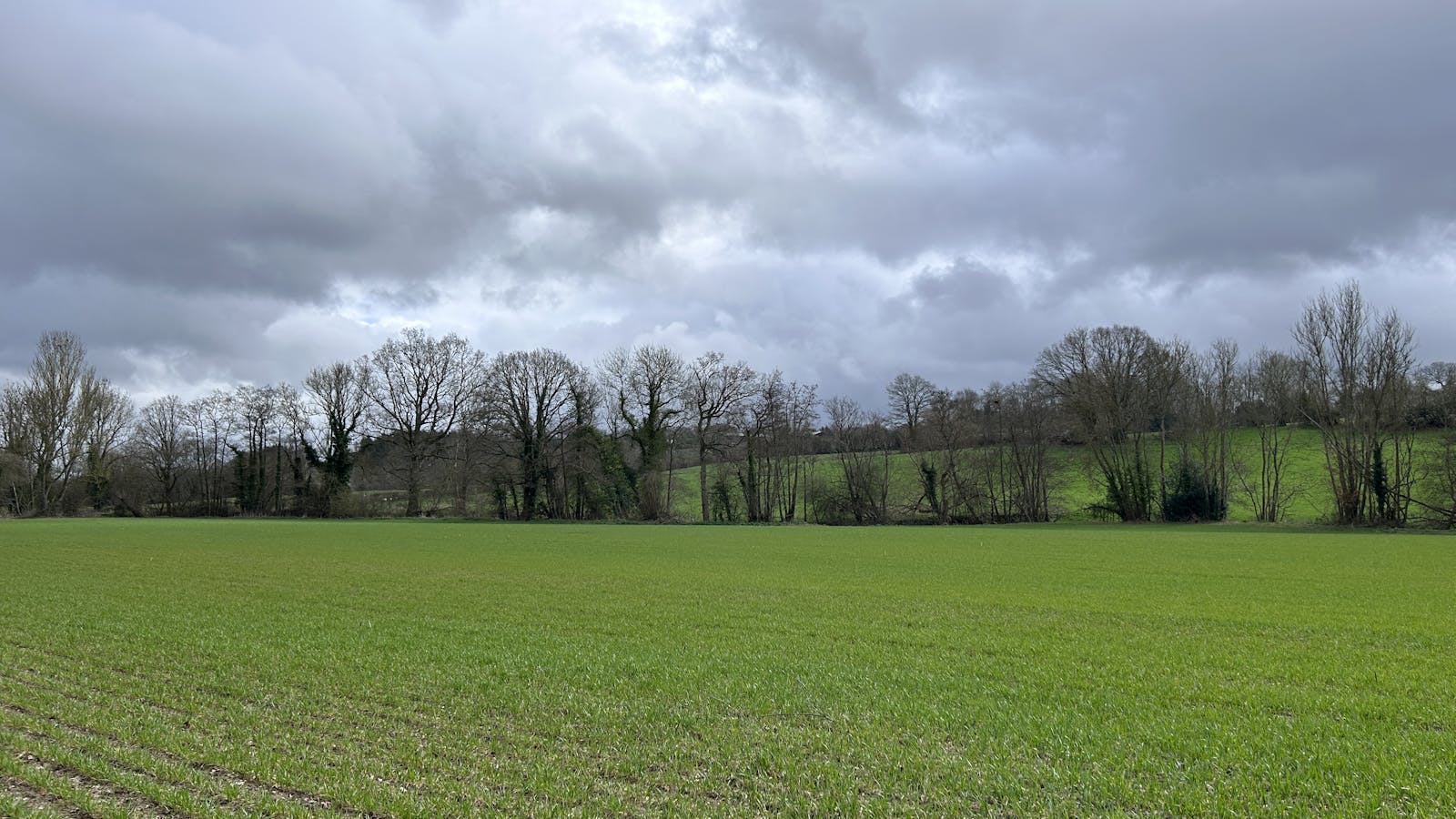 Furnace Farm grassland