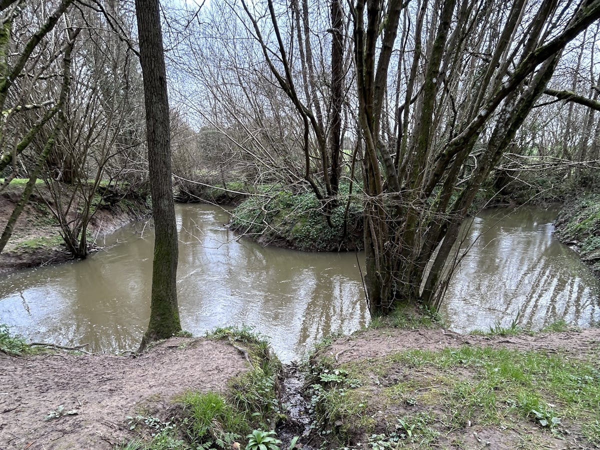 Furnace Farm river bank