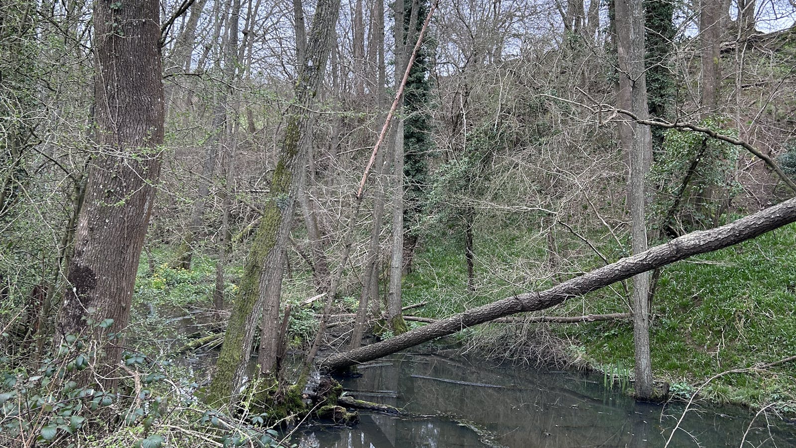 Furnace Farm river bank