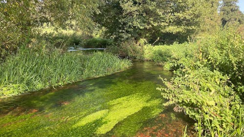 The green Darent Valley Landscape from above