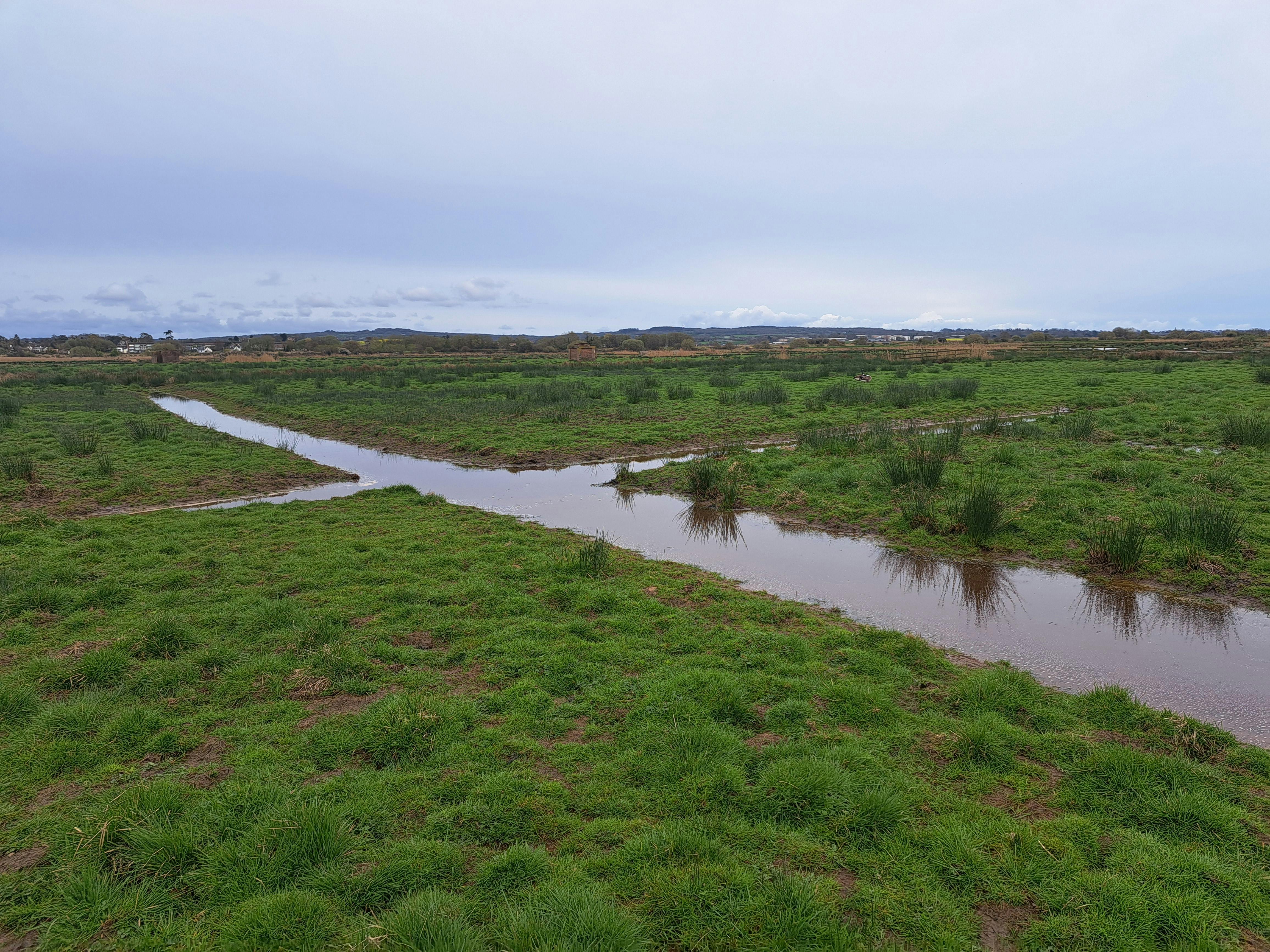 Linear channel on Exminster Marshes