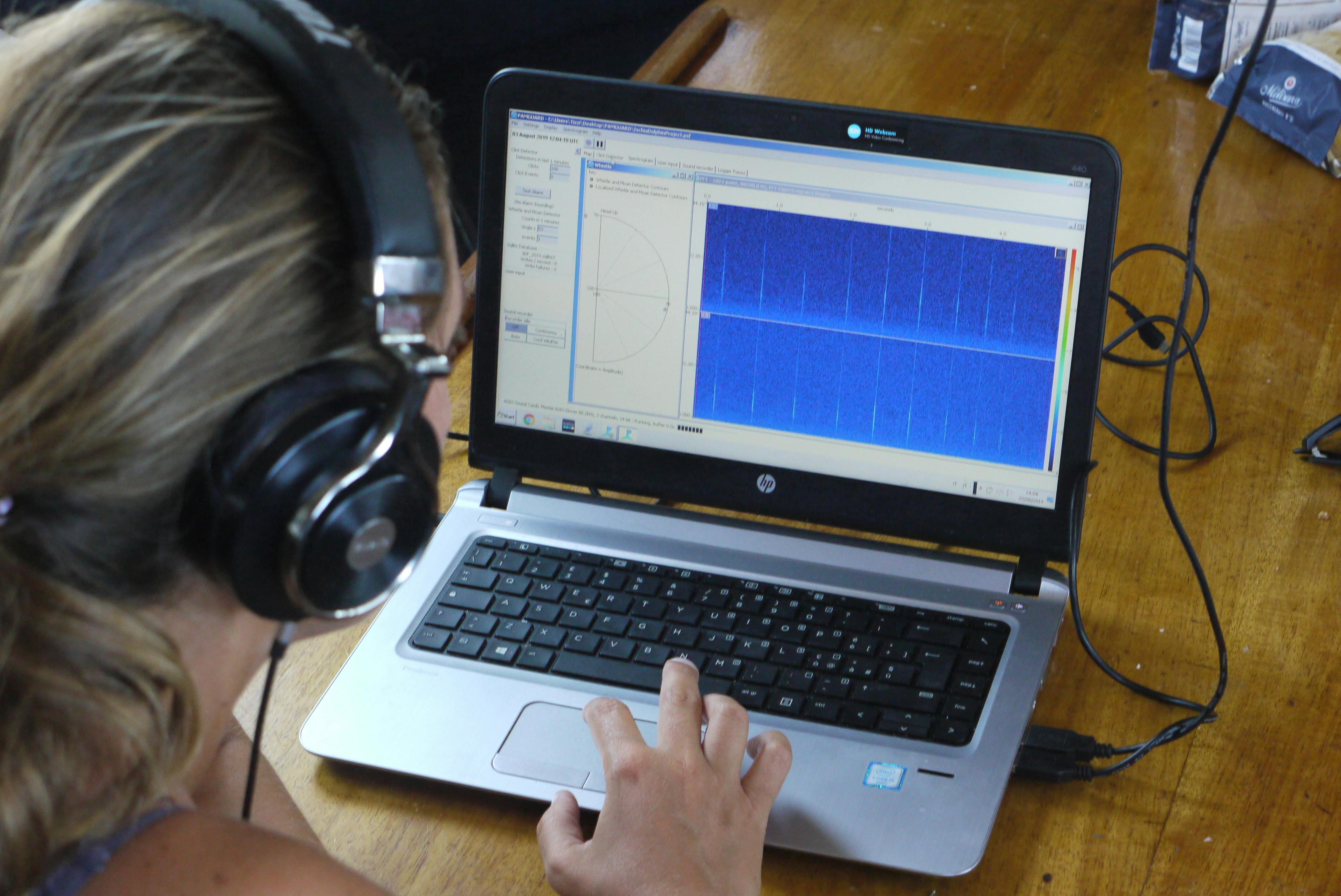 A laptop displaying spectrograms of whale activity