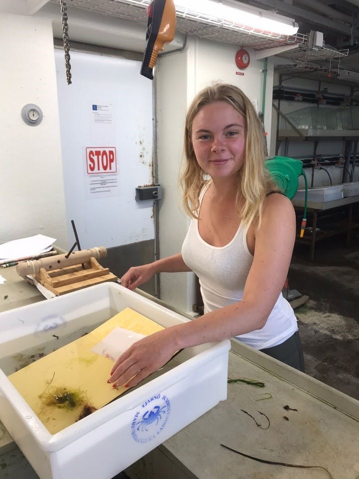 Linn in  a laboratory working with a bucket of water containing aquatic vegetation