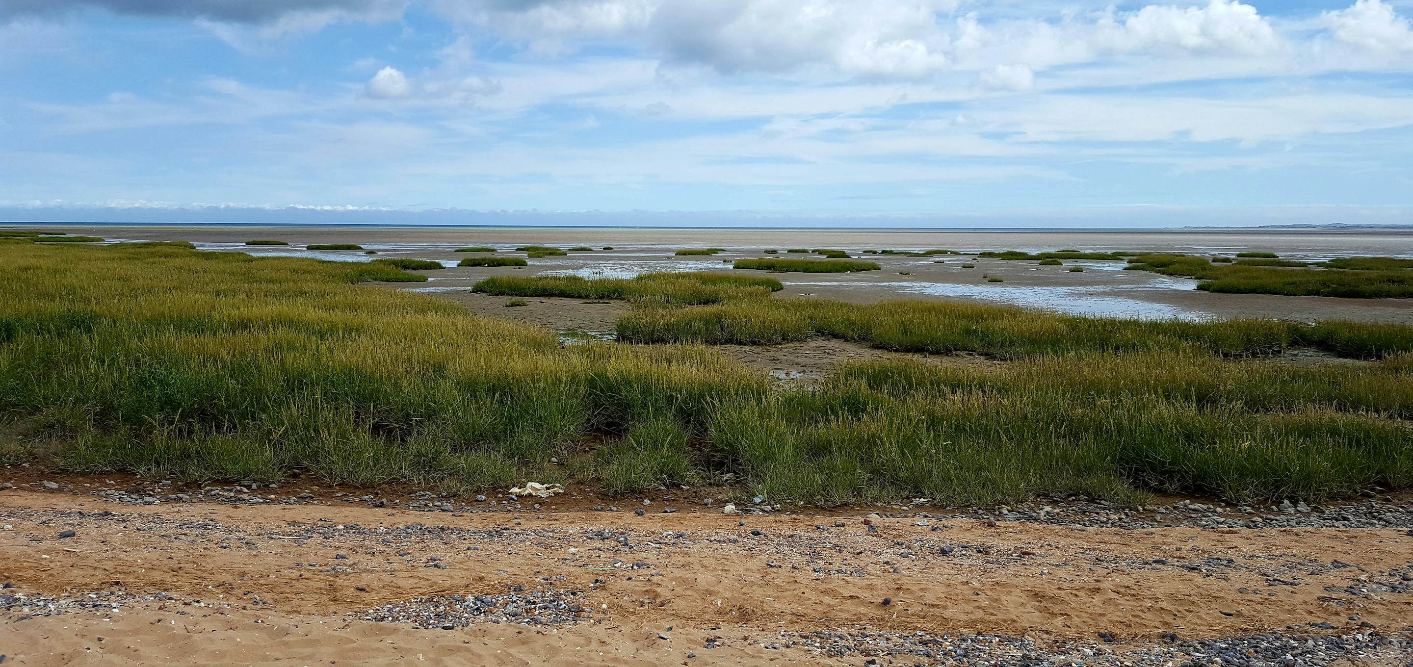 Mudflats and saltmarsh