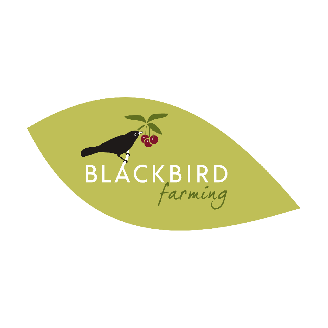 Blackbird Farming Logo (G H Dean & Co)