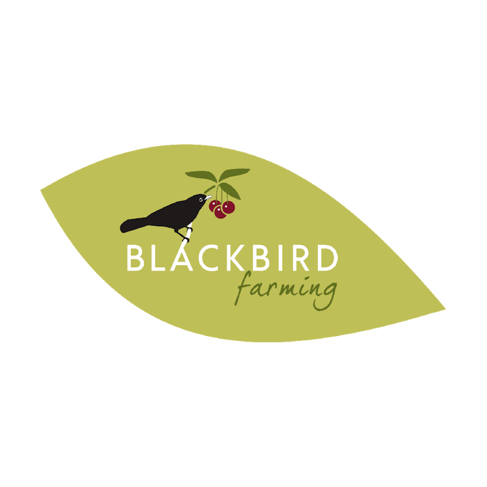 Blackbird Farming Logo (G H Dean & Co)