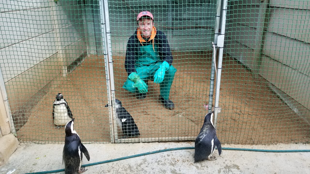 Max crouching in a penguin enclosure among four penguins, wearing green overalls and rubber gloves