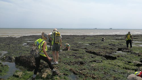 Adonis Blue team members on coast